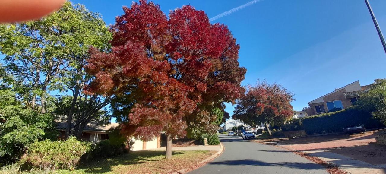 Sweet Home By The Golf Course Canberra Extérieur photo